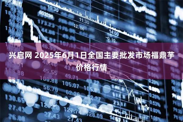 兴启网 2025年6月1日全国主要批发市场福鼎芋价格行情