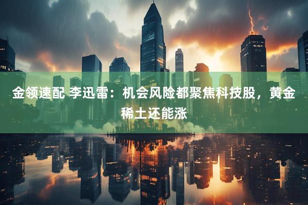 金领速配 李迅雷：机会风险都聚焦科技股，黄金稀土还能涨
