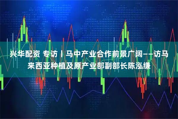兴华配资 专访丨马中产业合作前景广阔——访马来西亚种植及原产业部副部长陈泓缣