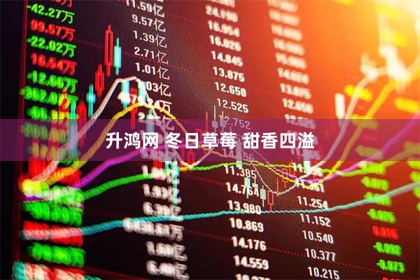 升鸿网 冬日草莓 甜香四溢