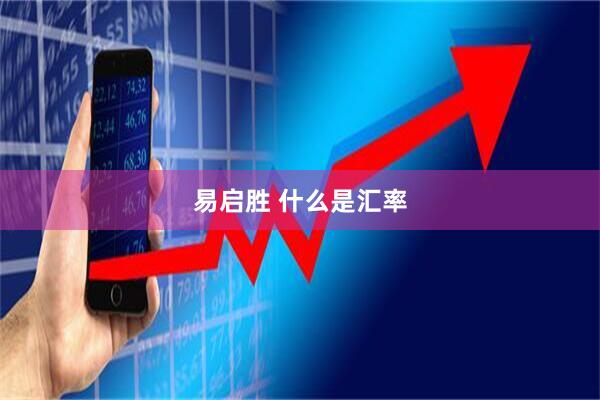 易启胜 什么是汇率