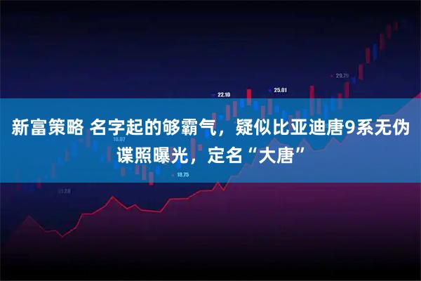 新富策略 名字起的够霸气，疑似比亚迪唐9系无伪谍照曝光，定名“大唐”